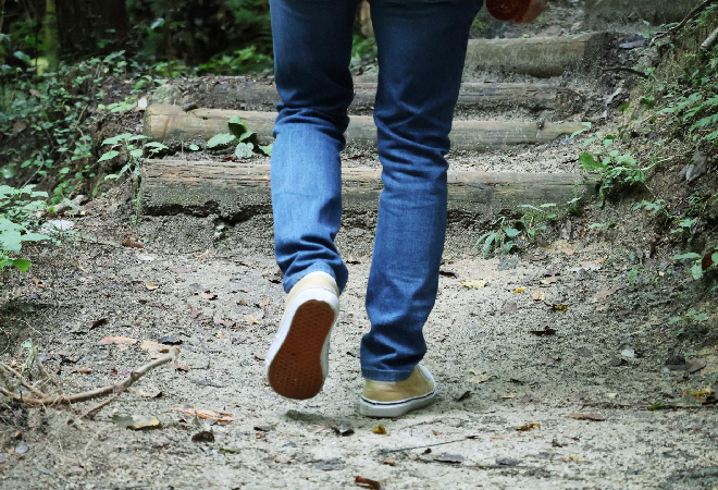 失踪した叔父を探したい|40代女性からの調査相談