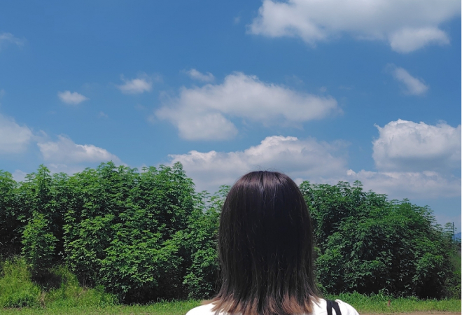 相続人である妹を探したい|30代女性からの調査相談