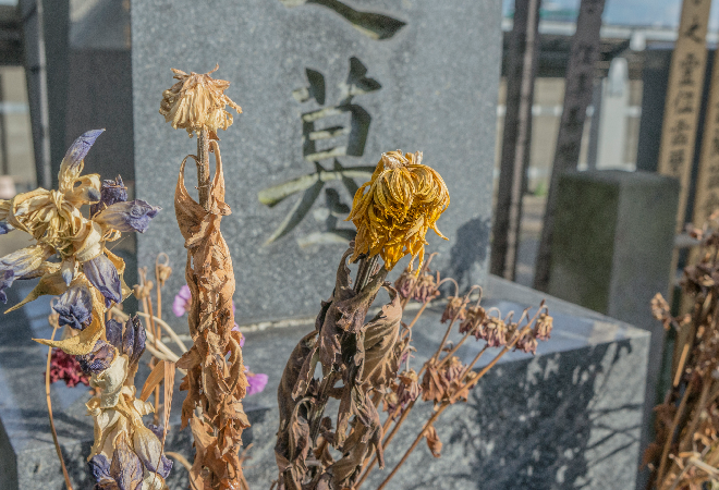 お墓と枯れた花。